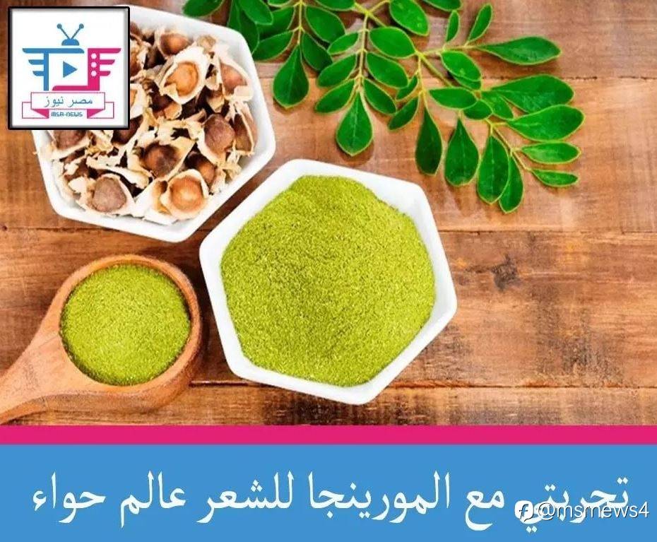 تجربتي مع المورينجا للشعر عالم حواء