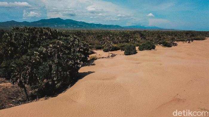 Kapal Asing Bolak-balik Keruk Pasir Laut, KKP Ungkap Modus Liciknya