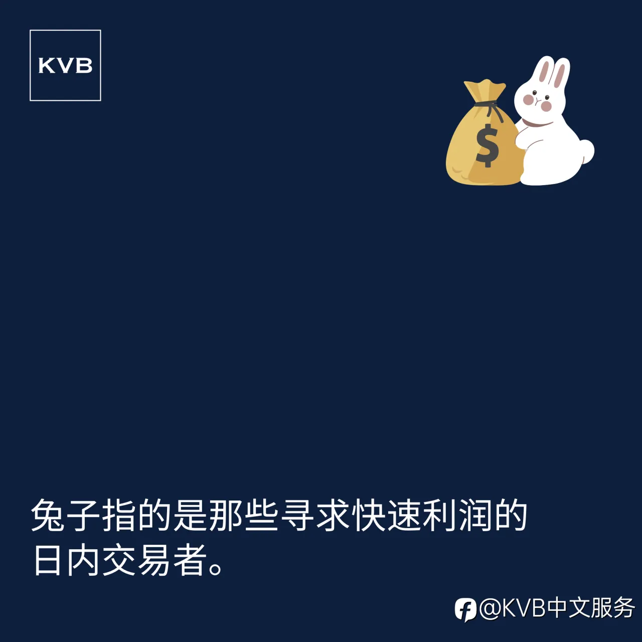 和KVB一起学习吧！📚✨
