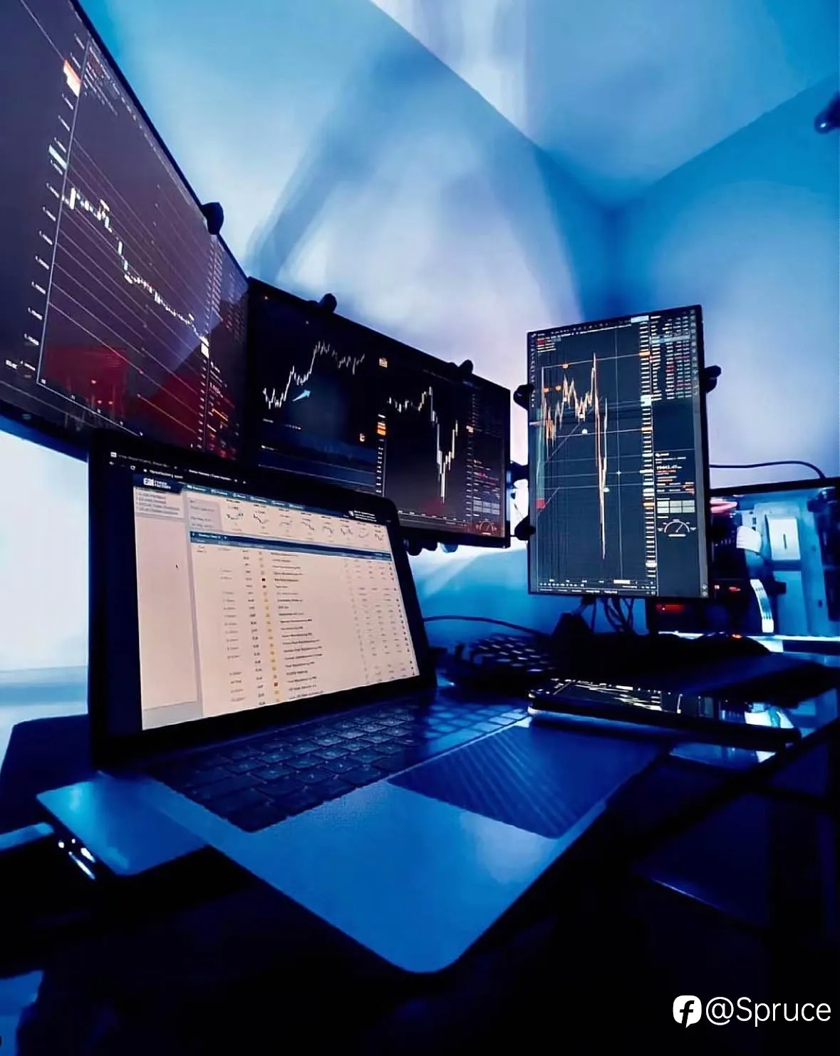 feed image
