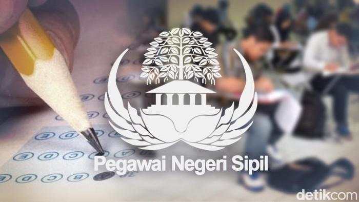 Siap-siap! Rekrutmen CPNS Dibuka Agustus