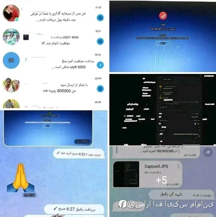 feed-image-0