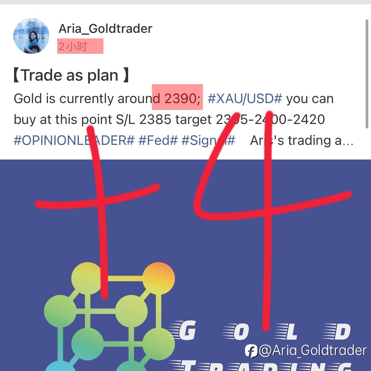【Aria's Strategy get ——4💰】