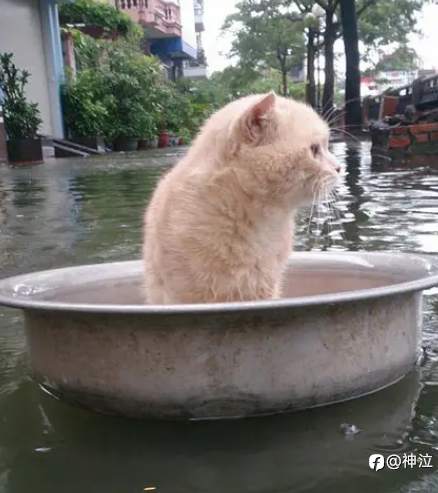 盈利目标需要精细化吗?