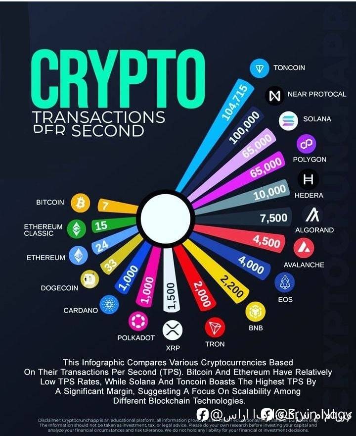feed-image-3