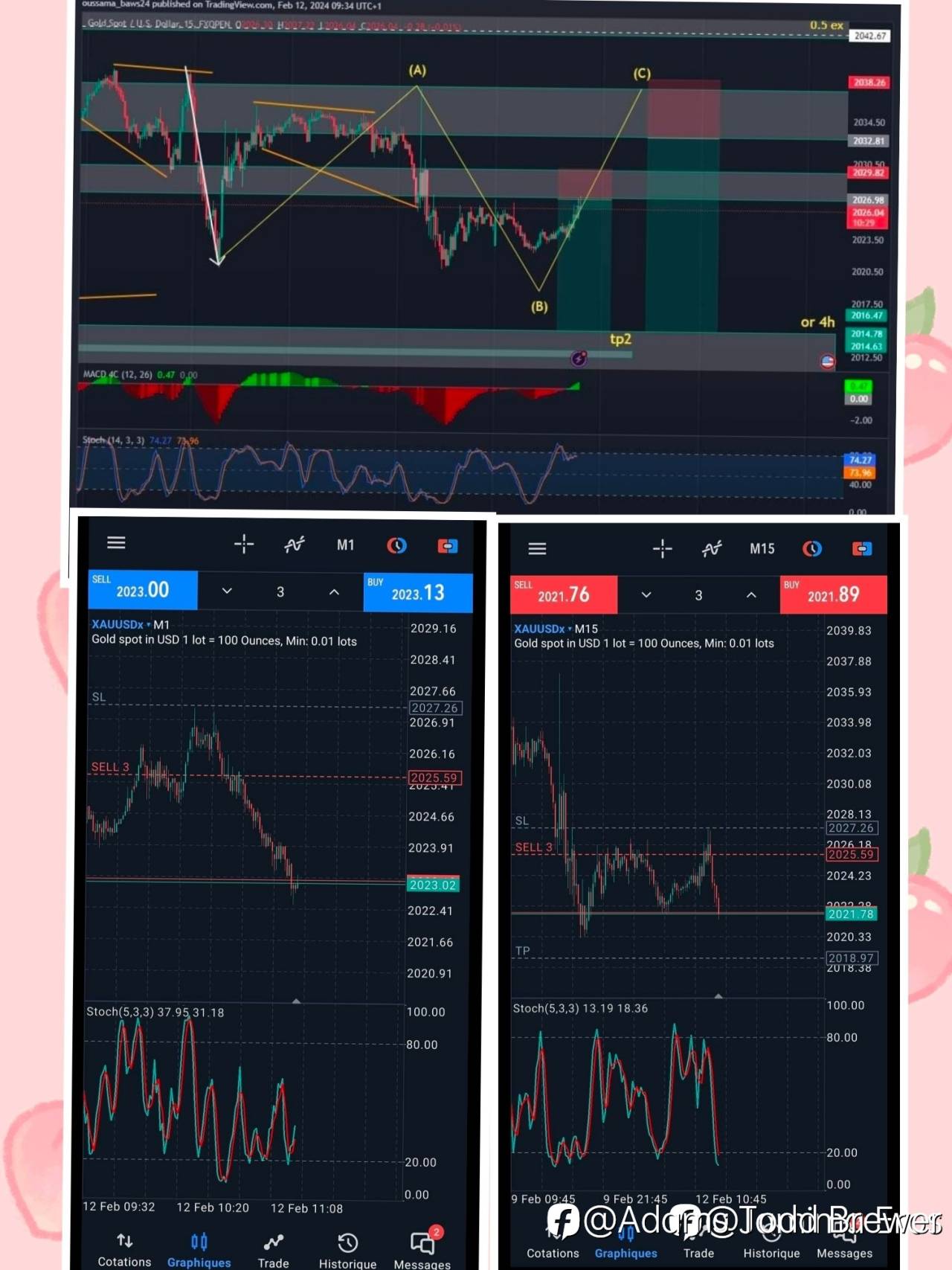feed-image-2