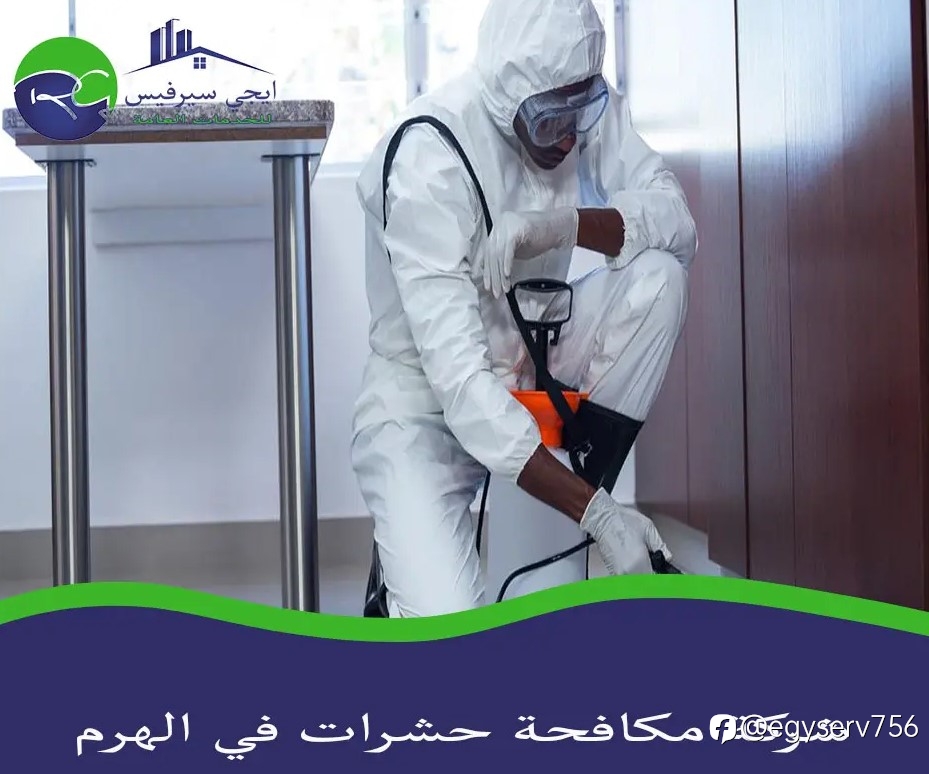 شركة مكافحة حشرات في الهرم