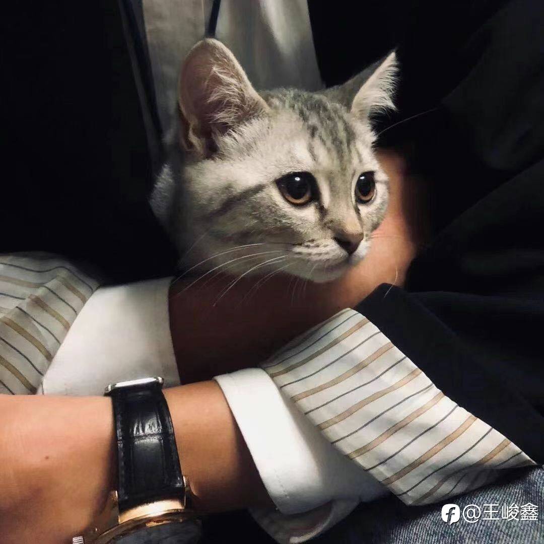倾听市场的声音