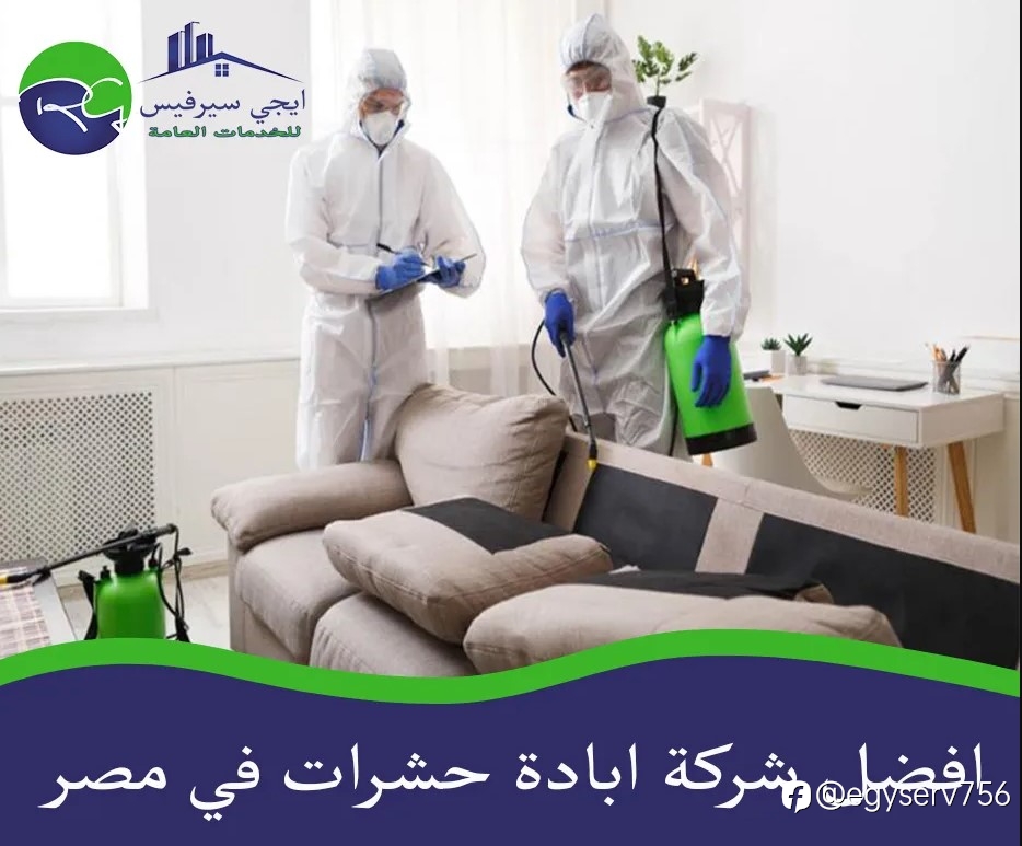 افضل شركة ابادة حشرات في مصر