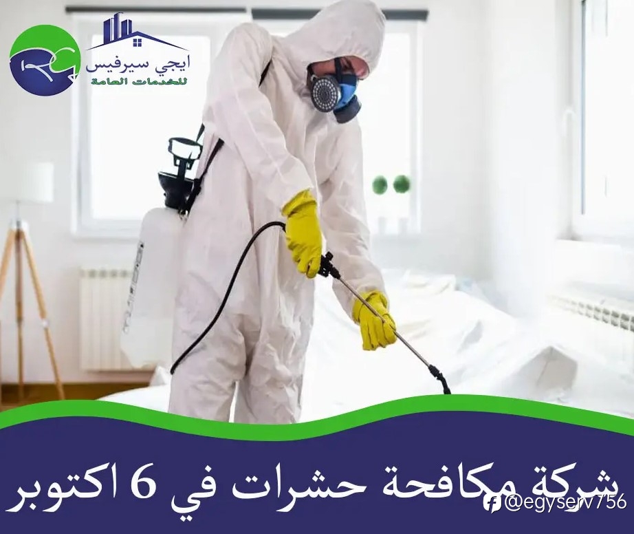 شركة مكافحة حشرات في 6 اكتوبر