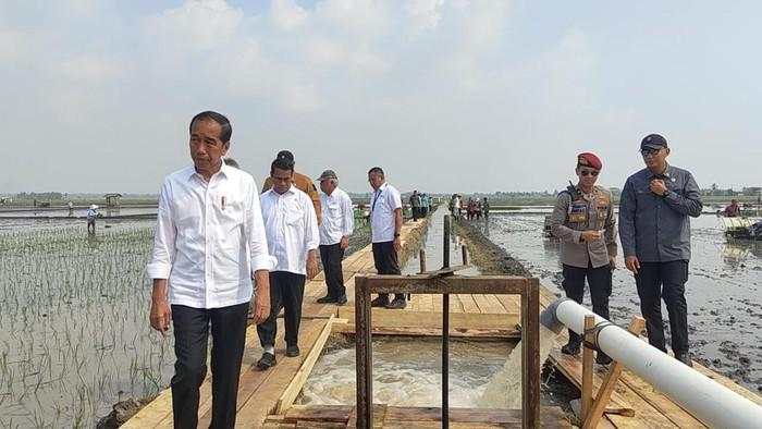 Kunjungan Kerja ke Lampung, Jokowi: Jalannya Banyak yang Rusak!