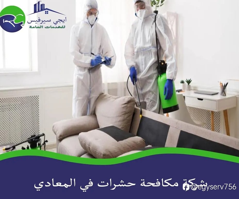 شركة مكافحة حشرات في المعادي