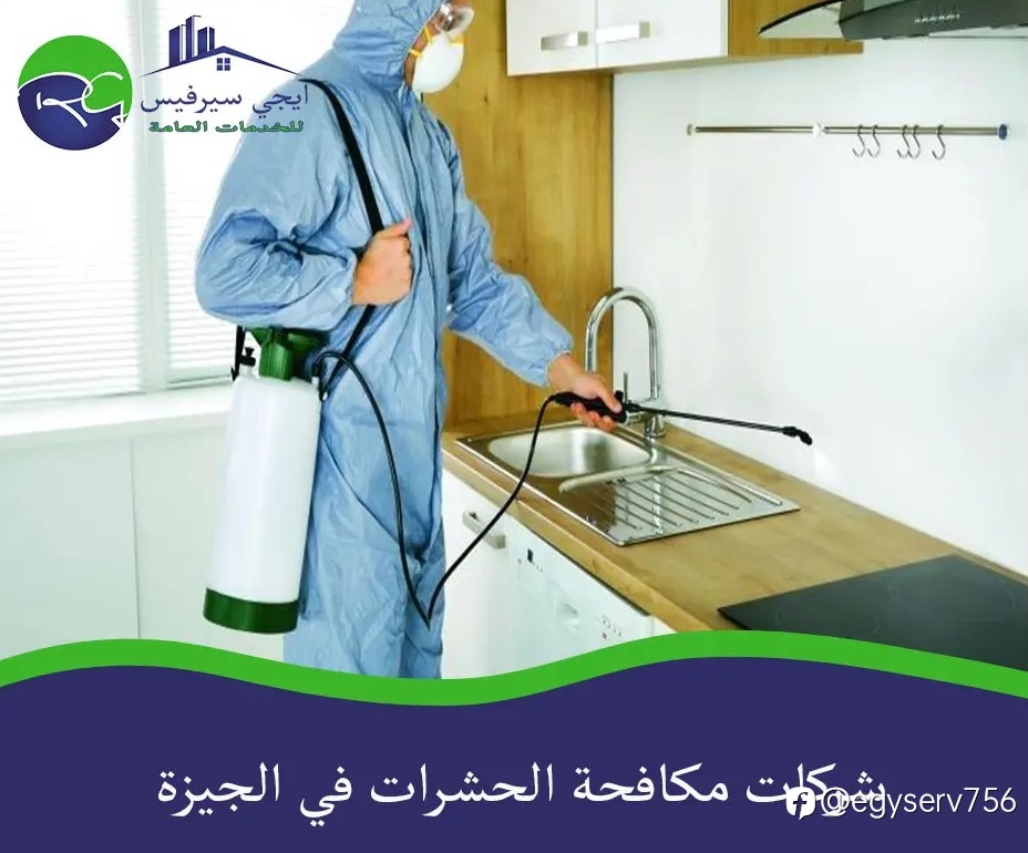 شركات مكافحة الحشرات في الجيزة
