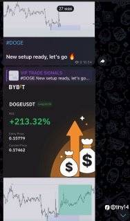feed-image-1