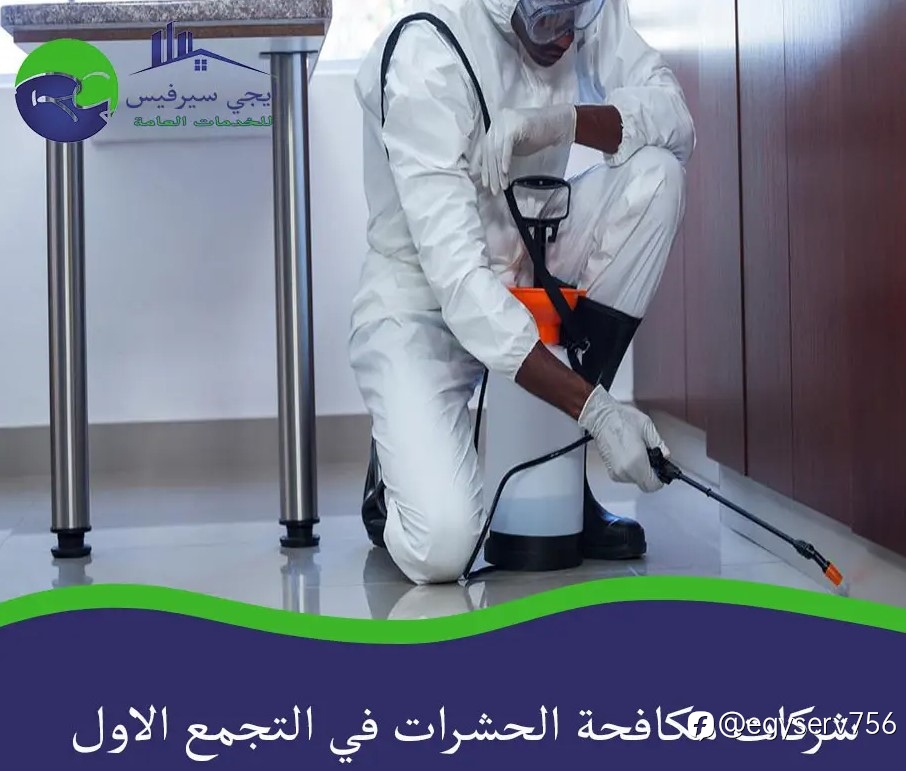 شركات مكافحة الحشرات في التجمع الاول