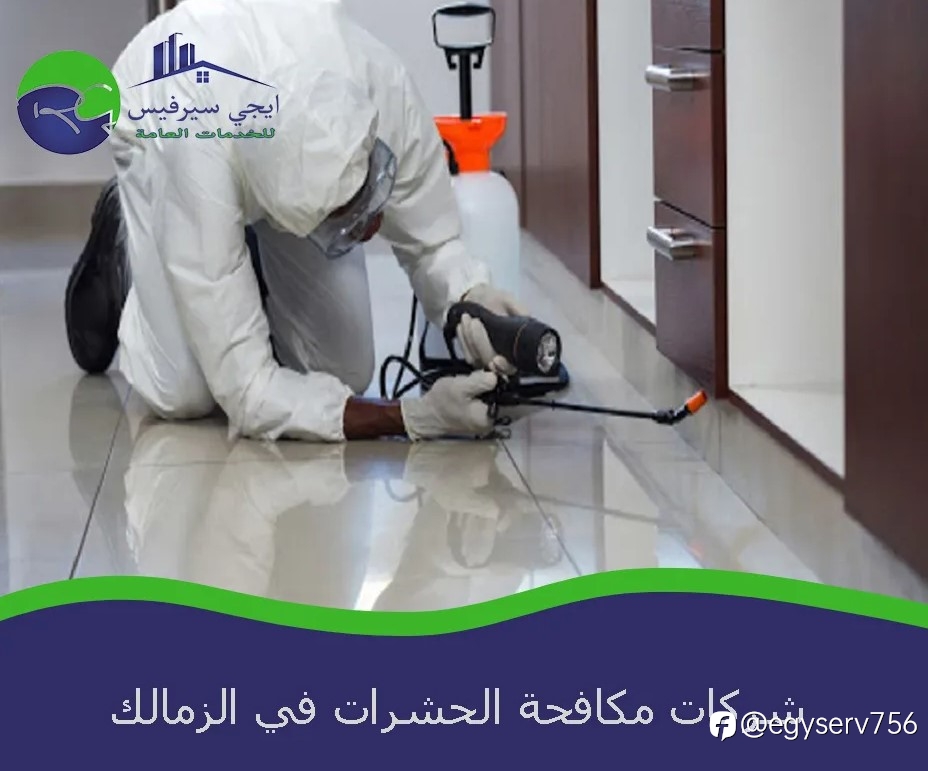 شركات مكافحة الحشرات في الزمالك
