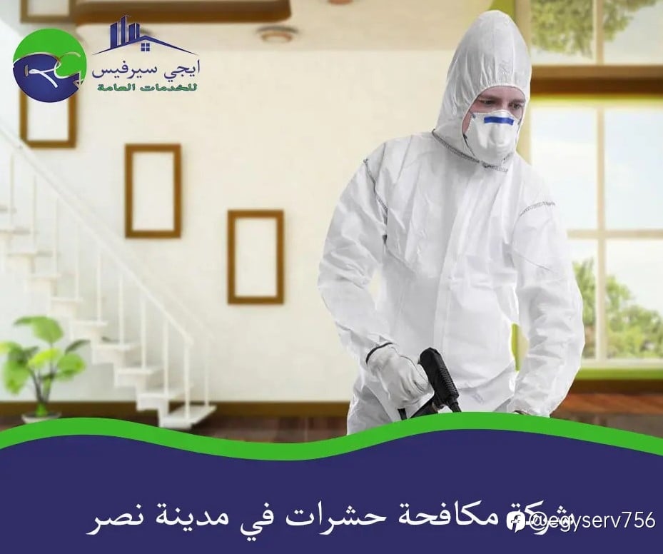 شركة مكافحة حشرات في مدينة نصر