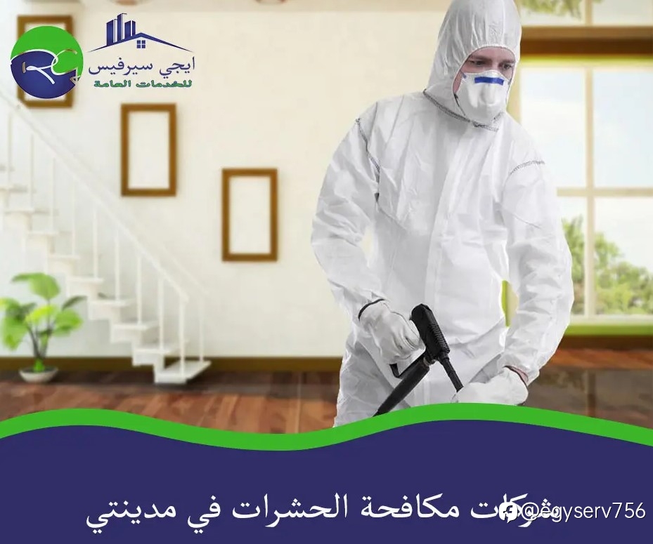 شركات مكافحة الحشرات في مدينتي