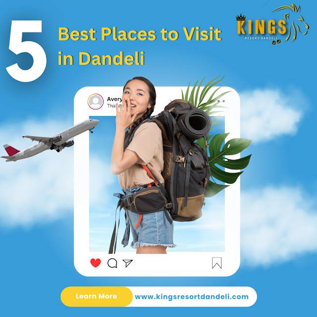 Immerse Yourself in Nature's Bounty: A Comprehensive Guide to Dandeli's Best Spots