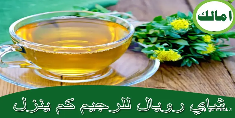 شاي رويال للرجيم كم ينزل