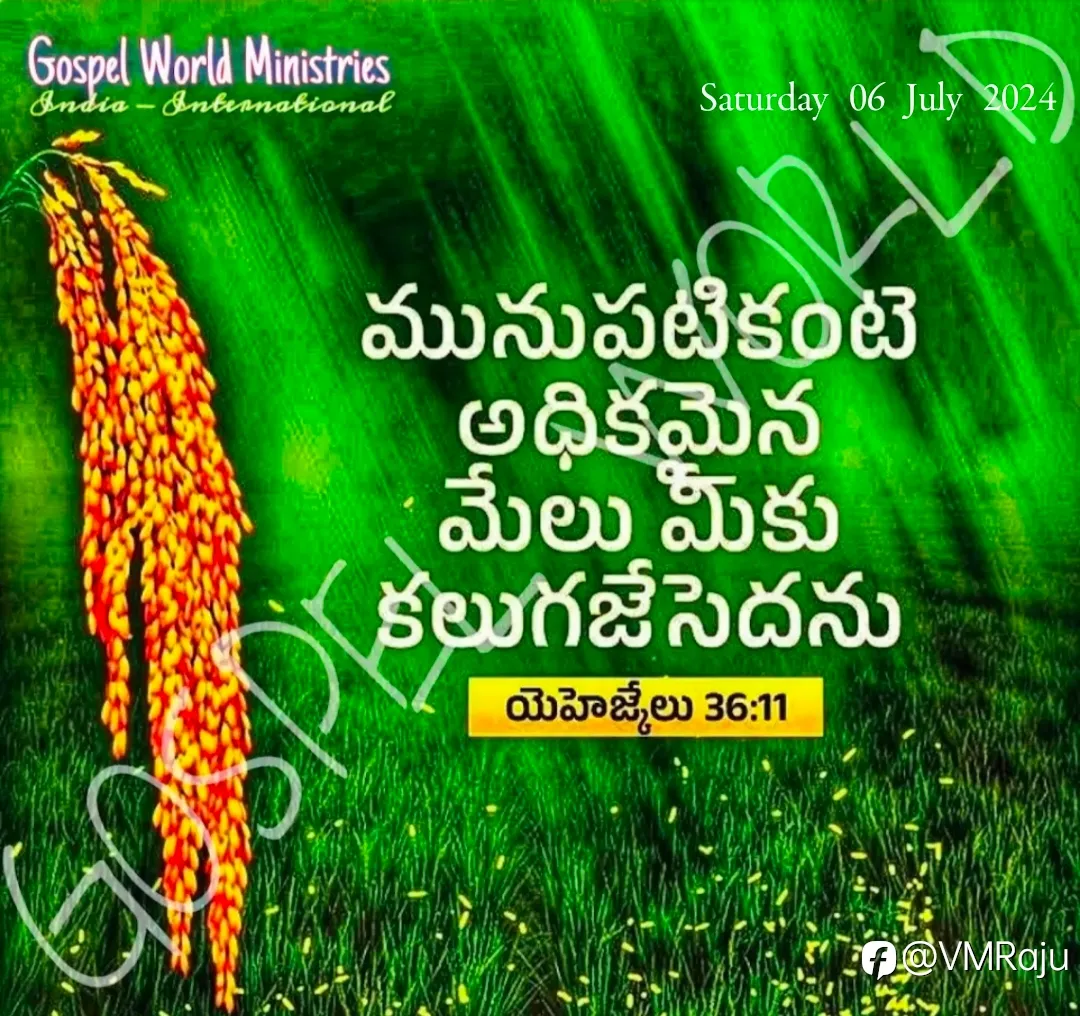 feed image