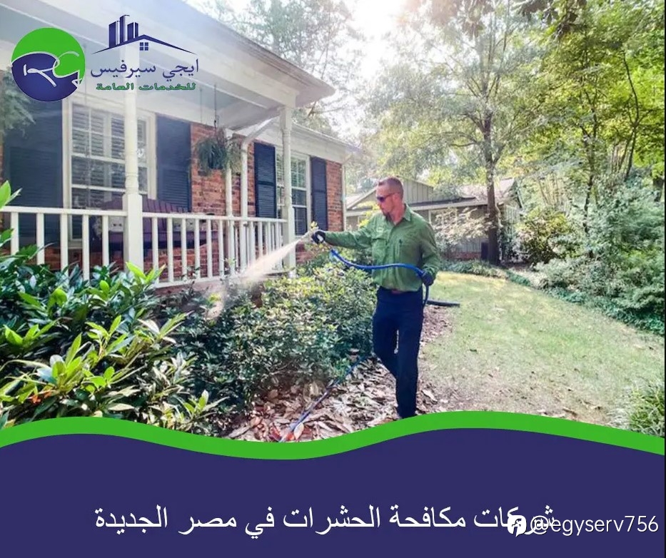 شركات مكافحة الحشرات في مصر الجديدة