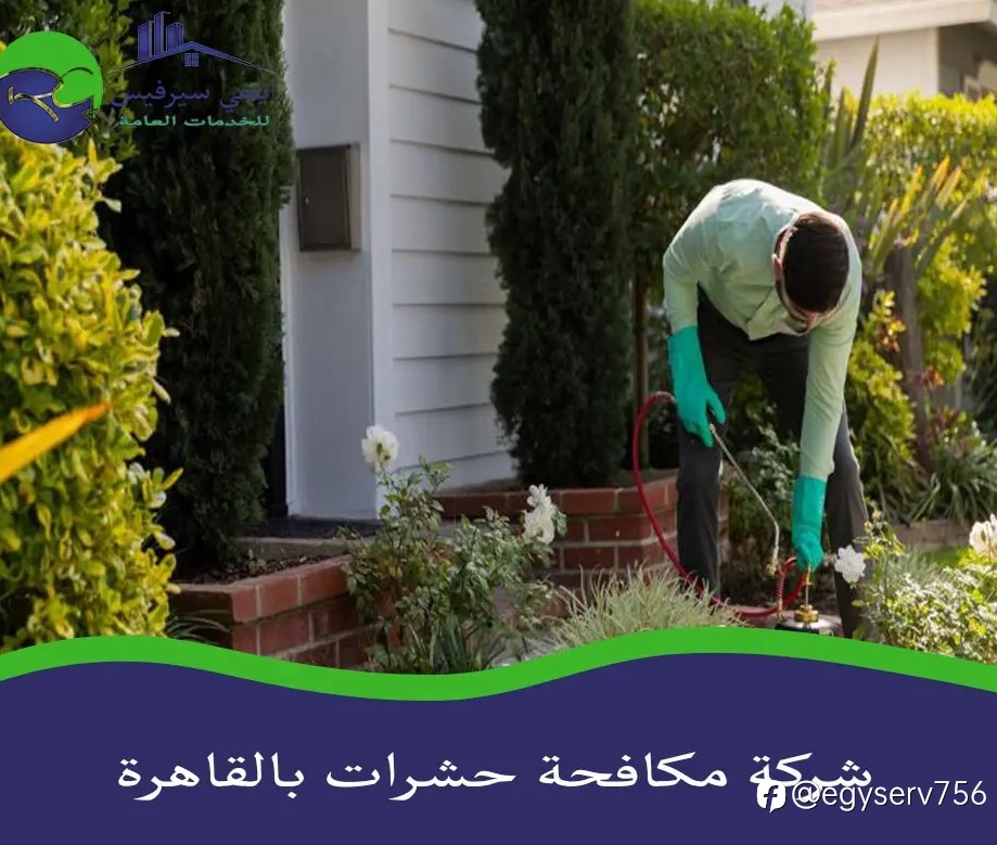 شركة مكافحة حشرات بالقاهرة