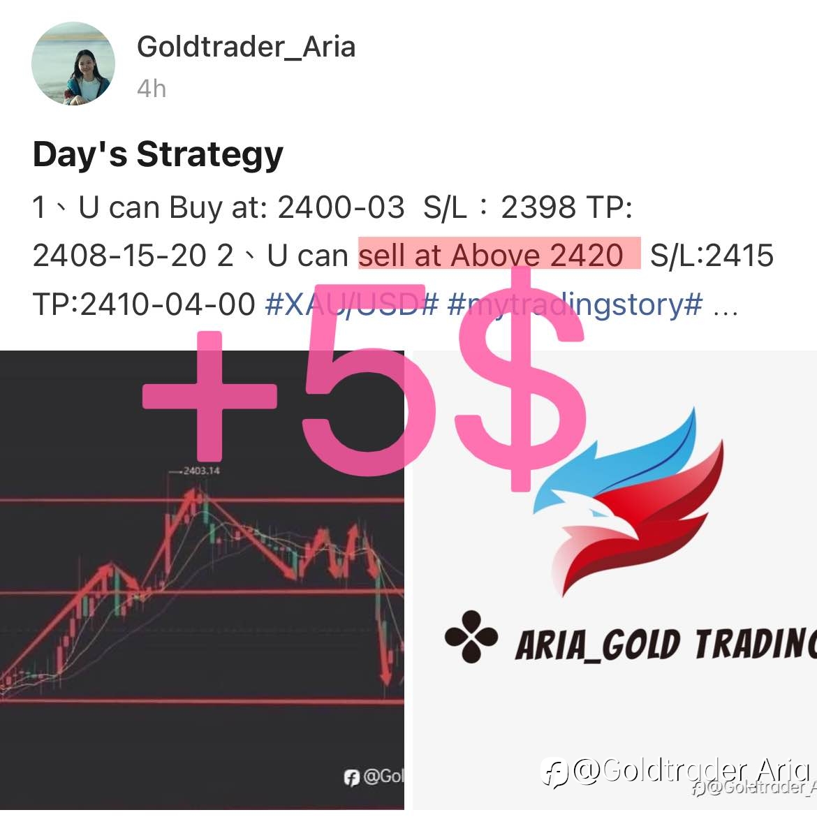 【Aria's trading as consistent with the Strategy】