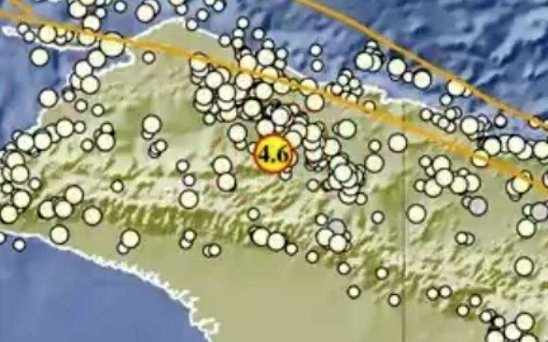 Gempa Magnitudo 4,6 Guncang Yalimo Papua, Berpusat di Darat