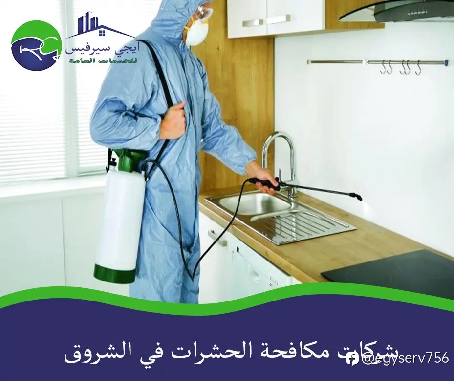 شركات مكافحة الحشرات في الشروق