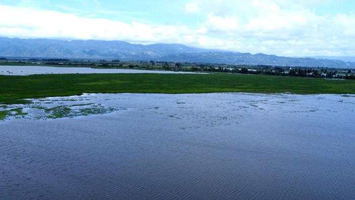 2.765 Hektare Lahan Pertanian di Gorontalo Kebanjiran