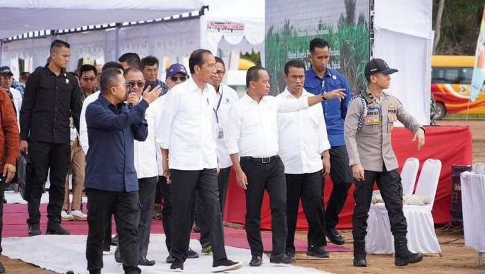 Dampingi Jokowi Tanam Tebu di Merauke, Bahlil Pede RI Bakal Swasembada Gula!