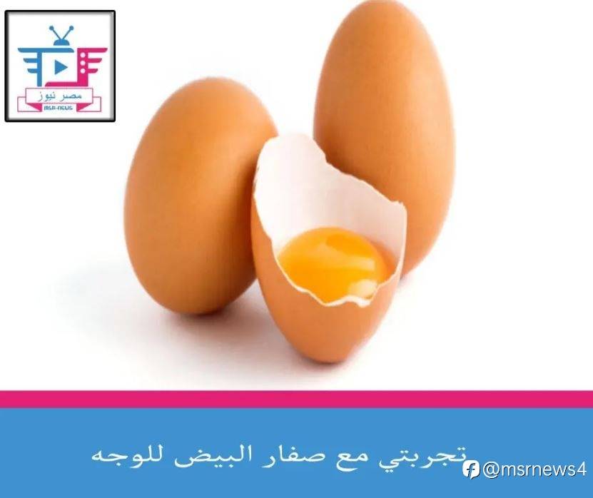 تجربتي مع صفار البيض للوجه