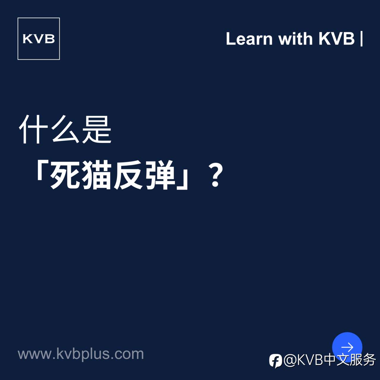 和KVB一起学习吧！📚✨