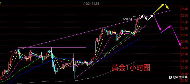 老黑策略：8.20晚盘外汇、黄金、原油分析策略