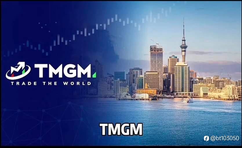 TMGM