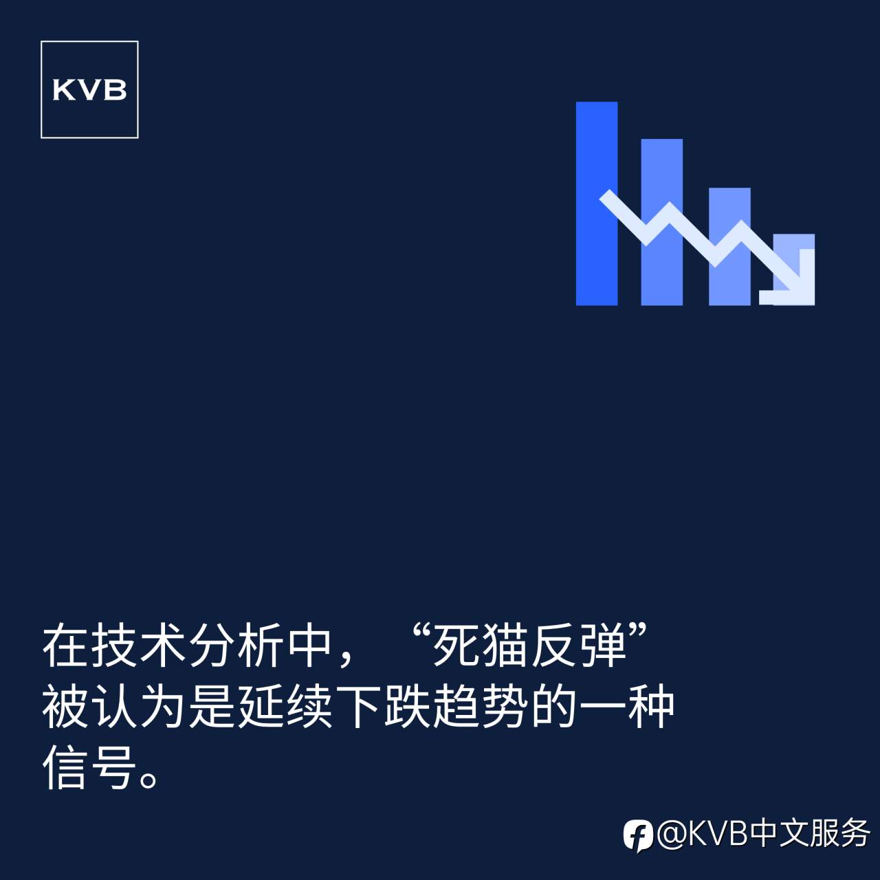 和KVB一起学习吧！📚✨