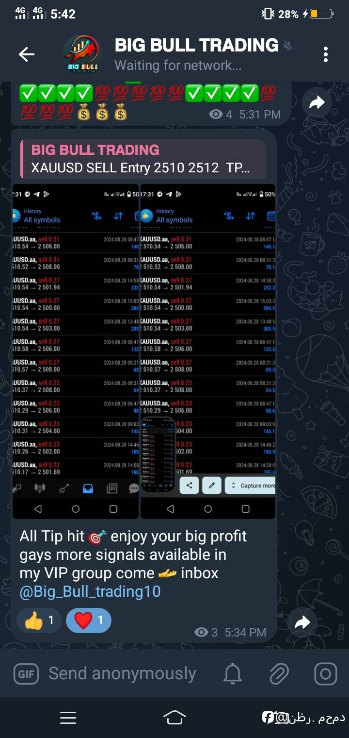 feed-image-1