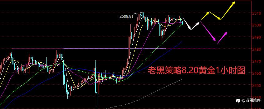 老黑策略：8.20外汇、黄金、原油分析策略