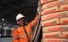 Kuasai 29,4 Persen Pasar Nasional, Indocement (INTP) Raup Pendapatan Rp8,1 Triliun