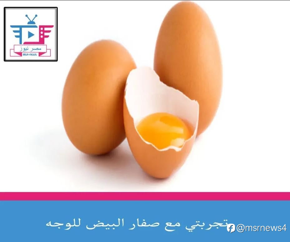 تجربتي مع صفار البيض للوجه