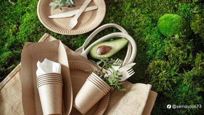 Sustainable Packaging Efforts In Asia Take Backseat; Innovation Offers Paths Forward | Saraf Furniture Reviews