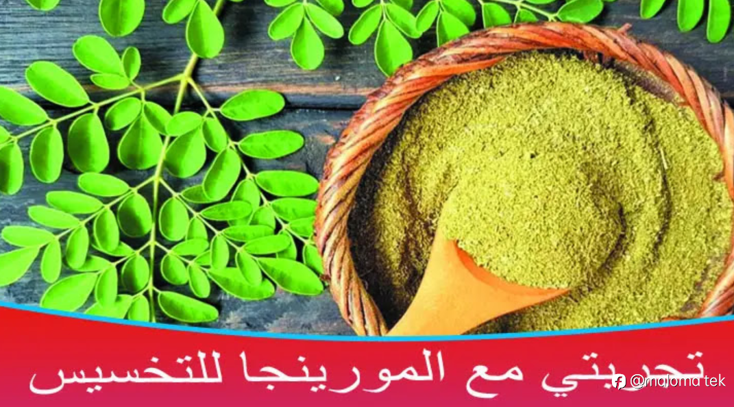 تجربتي مع المورينجا للتخسيس