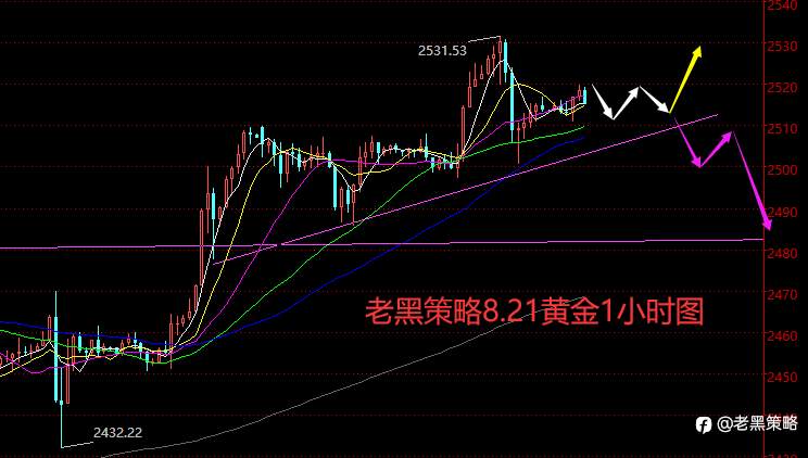 老黑策略：8.21外汇、黄金、原油分析策略