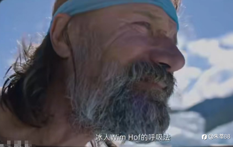 轻松除蕉绿
