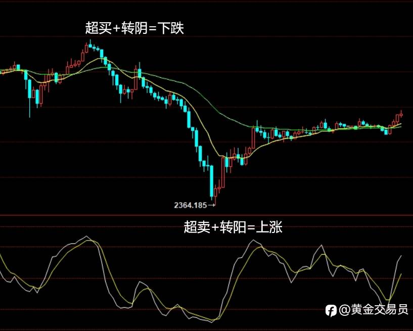 黄金暴走