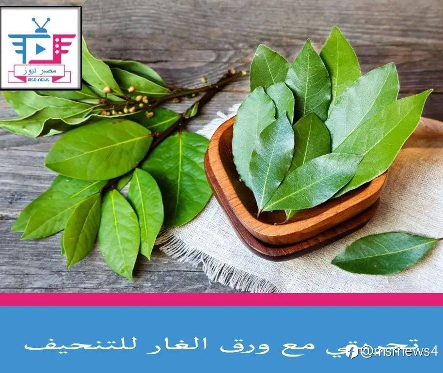 تجربتي مع ورق الغار للتنحيف