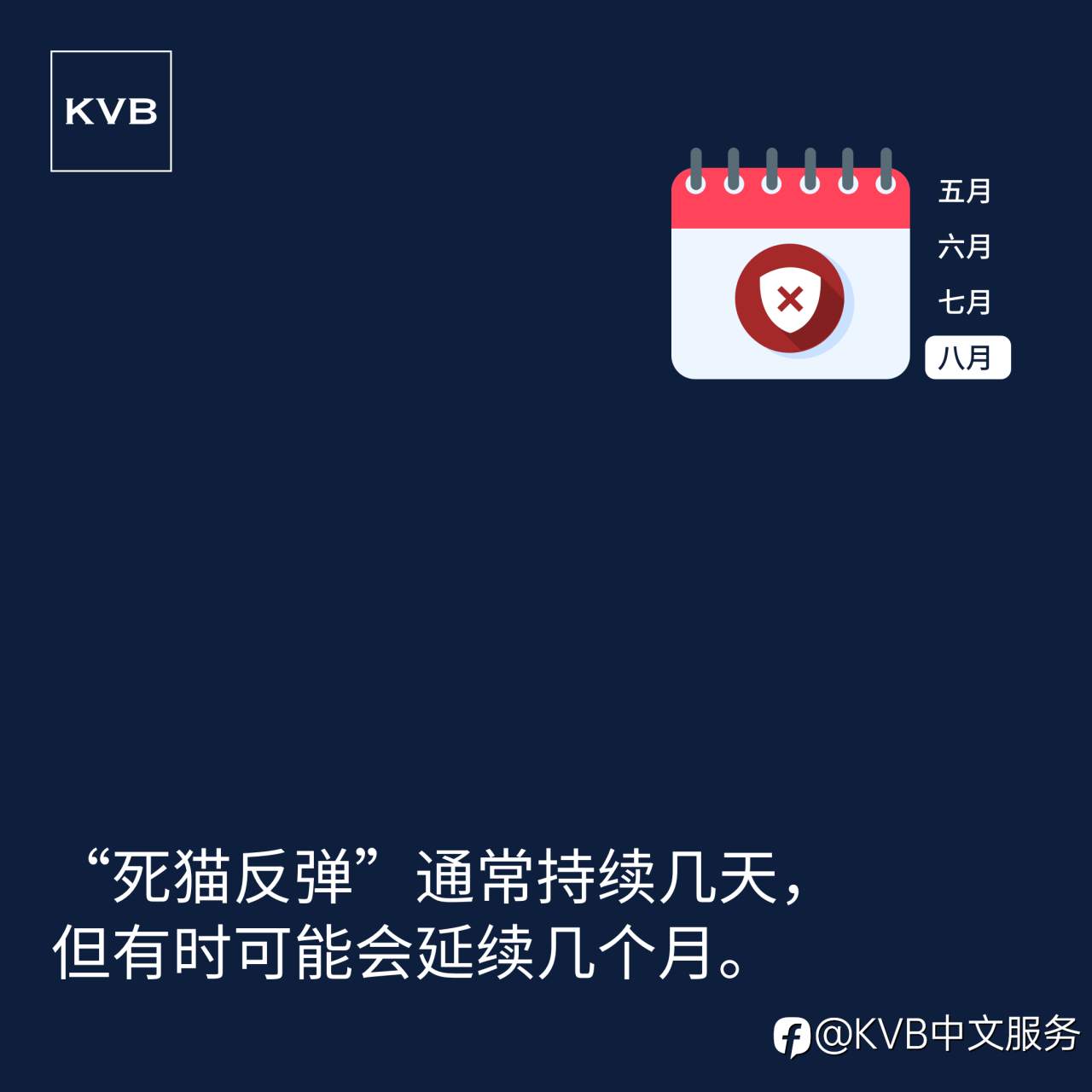 和KVB一起学习吧！📚✨