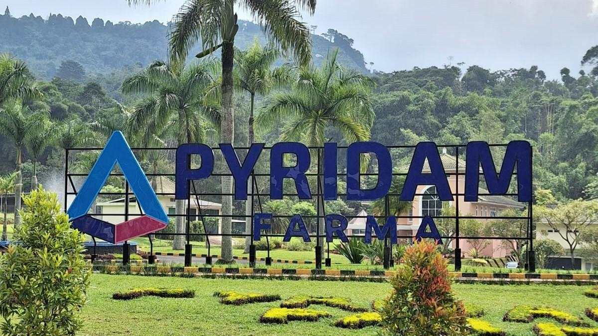 Rugi Pyridam Farma (PYFA) Naik Hampir Tiga Kali Lipat Jadi Rp93,8 Miliar