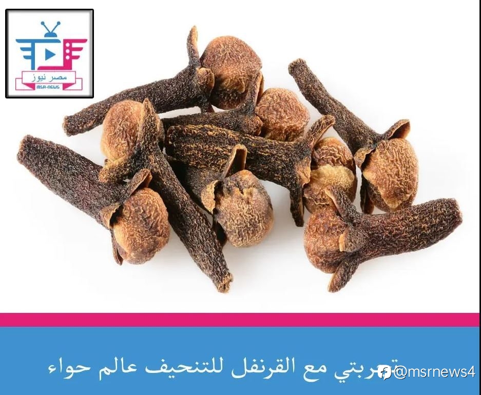 تجربتي مع القرنفل للتنحيف عالم حواء